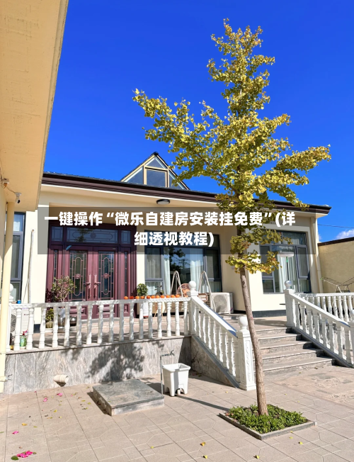 一键操作“微乐自建房安装挂免费”(详细透视教程)-第2张图片