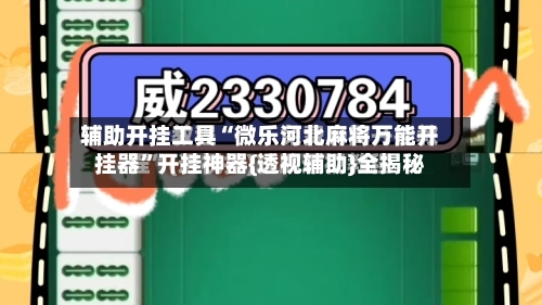 辅助开挂工具“微乐河北麻将万能开挂器”开挂神器{透视辅助}全揭秘-第2张图片