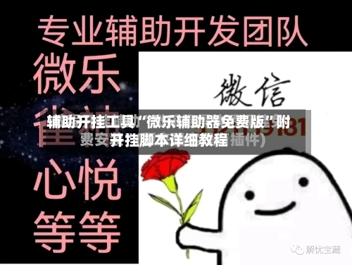 辅助开挂工具“微乐辅助器免费版	”附开挂脚本详细教程-第2张图片