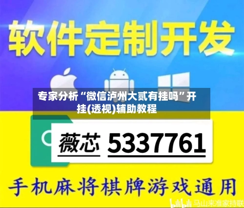 专家分析“微信泸州大贰有挂吗”开挂(透视)辅助教程-第2张图片