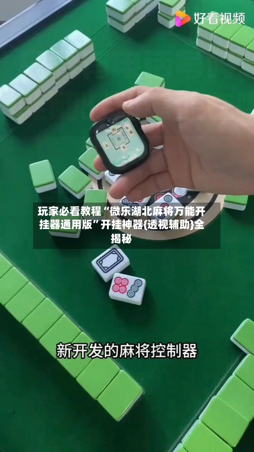 玩家必看教程“微乐湖北麻将万能开挂器通用版	”开挂神器{透视辅助}全揭秘-第2张图片