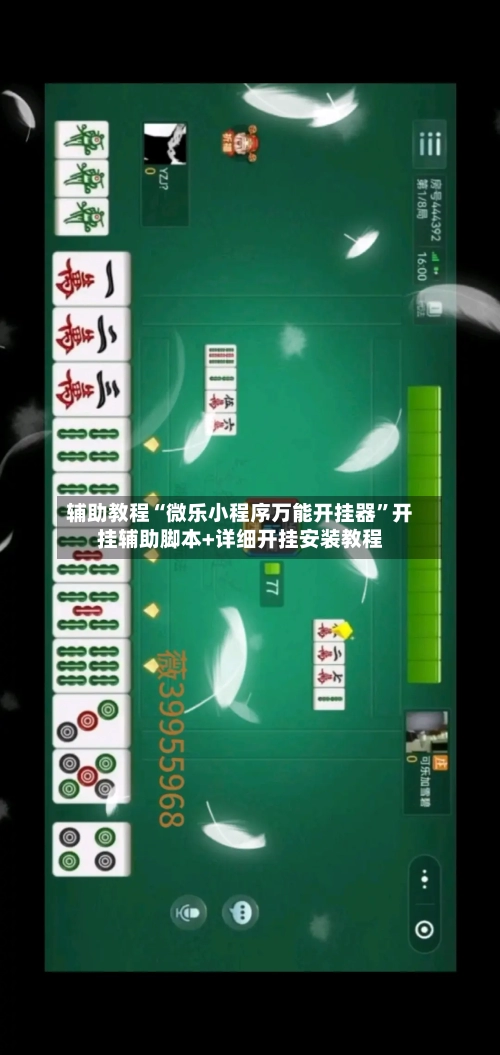 辅助教程“微乐小程序万能开挂器”开挂辅助脚本+详细开挂安装教程-第3张图片