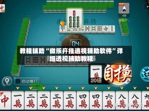 教程辅助“微乐开挂透视辅助软件”详细透视辅助教程-第2张图片