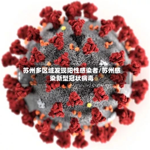 苏州多区域发现阳性感染者/苏州感染新型冠状病毒