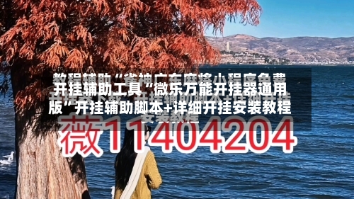 开挂辅助工具“微乐万能开挂器通用版”开挂辅助脚本+详细开挂安装教程-第3张图片