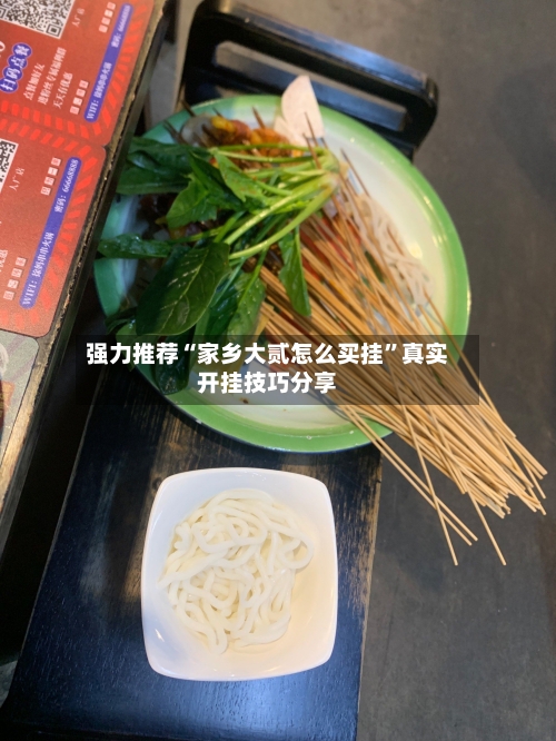 强力推荐“家乡大贰怎么买挂”真实开挂技巧分享-第3张图片