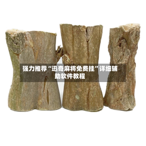 强力推荐“迅奇麻将免费挂”详细辅助软件教程-第3张图片