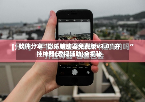 软件分享“微乐辅助器免费版v3.0”开挂神器{透视辅助}全揭秘