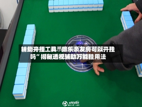 辅助开挂工具“微乐亲友房可以开挂吗”揭秘透视辅助万能挂用法-第2张图片