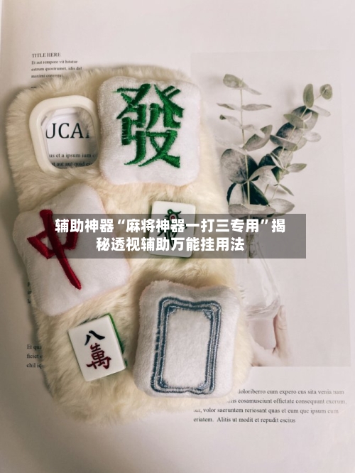 辅助神器“麻将神器一打三专用”揭秘透视辅助万能挂用法-第2张图片