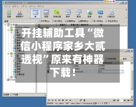 开挂辅助工具“微信小程序家乡大贰透视	”原来有神器下载！-第2张图片