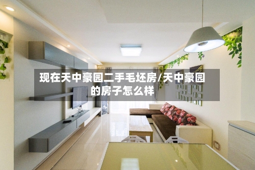 现在天中豪园二手毛坯房/天中豪园的房子怎么样