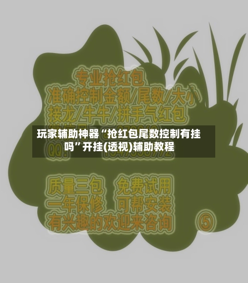 玩家辅助神器“抢红包尾数控制有挂吗”开挂(透视)辅助教程-第2张图片