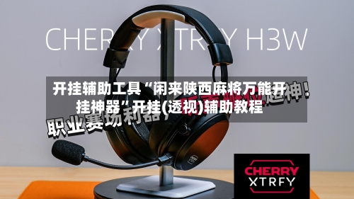 开挂辅助工具“闲来陕西麻将万能开挂神器	”开挂(透视)辅助教程-第3张图片