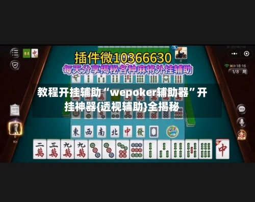 教程开挂辅助“wepoker辅助器”开挂神器{透视辅助}全揭秘-第3张图片