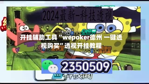 开挂辅助工具“wepoker德州 一键透视购买”透视开挂教程-第2张图片