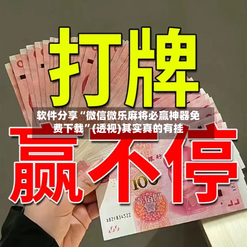 软件分享“微信微乐麻将必赢神器免费下载”(透视)其实真的有挂-第2张图片