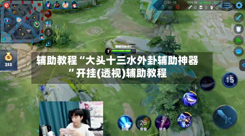 辅助教程“大头十三水外卦辅助神器”开挂(透视)辅助教程-第3张图片