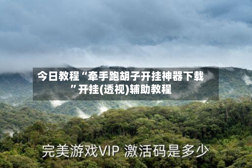 今日教程“牵手跑胡子开挂神器下载”开挂(透视)辅助教程-第3张图片