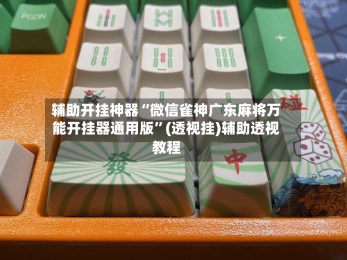 辅助开挂神器“微信雀神广东麻将万能开挂器通用版	”(透视挂)辅助透视教程-第2张图片