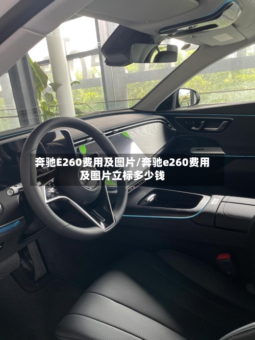 奔驰E260费用及图片/奔驰e260费用及图片立标多少钱-第2张图片