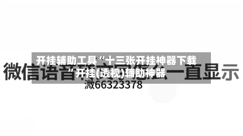 开挂辅助工具“十三张开挂神器下载”开挂(透视)辅助神器-第2张图片