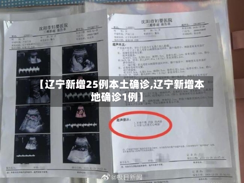 【辽宁新增25例本土确诊,辽宁新增本地确诊1例】-第2张图片