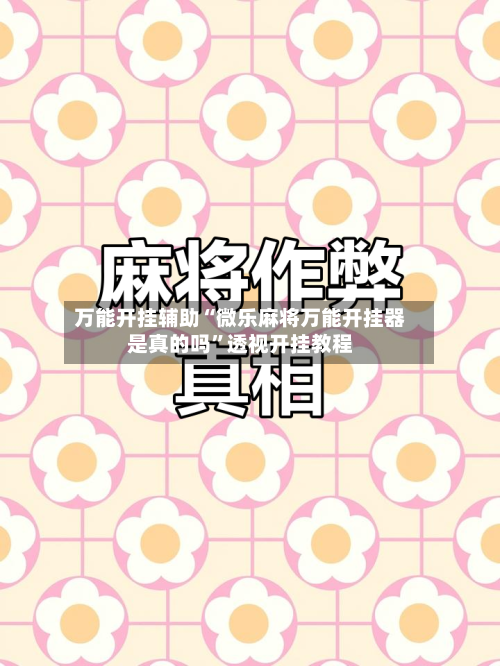 万能开挂辅助“微乐麻将万能开挂器是真的吗”透视开挂教程-第3张图片