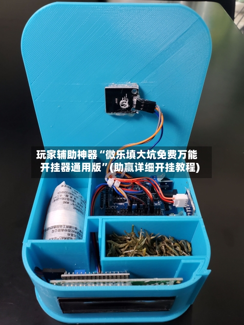 玩家辅助神器“微乐填大坑免费万能开挂器通用版”(助赢详细开挂教程)-第3张图片