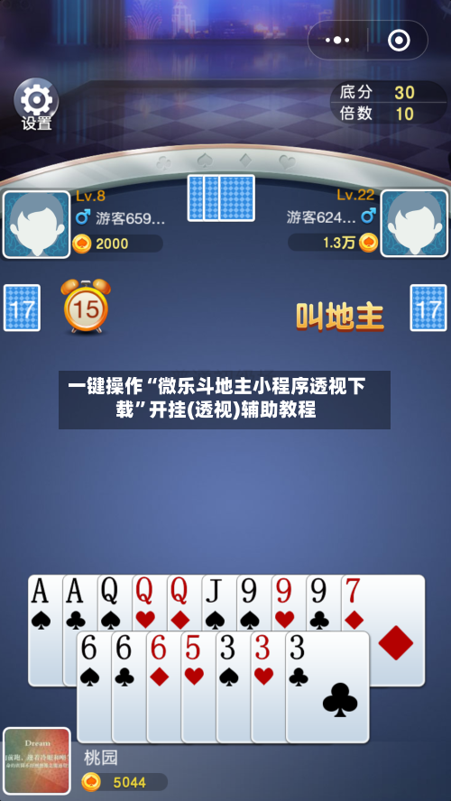 一键操作“微乐斗地主小程序透视下载	”开挂(透视)辅助教程-第3张图片